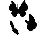 b2_112_butterfly